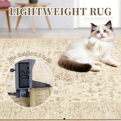 Neutral 4x6 Area Rugs, Beige Vintage Rug for Bedroom, Living Room, Nursery - Image 6