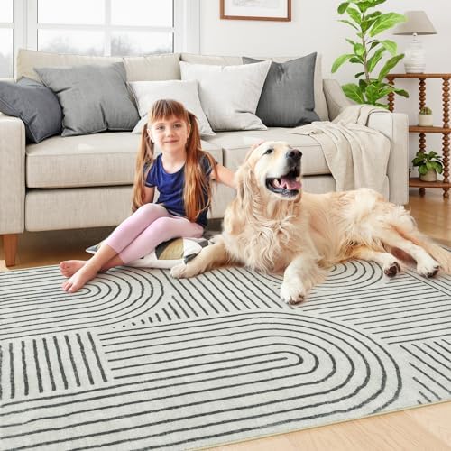 Lahome Abstract Bedroom Rug, Soft Black 4x6 Rug Washable Rugs for Entryway - Image 5