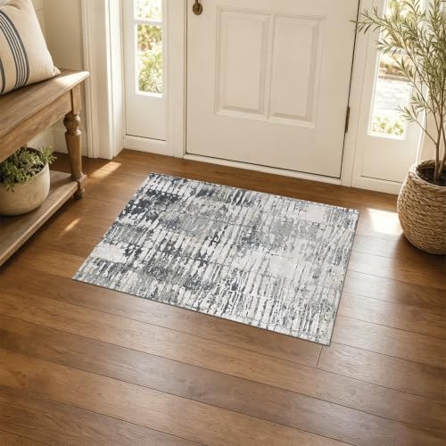 Mottled Stone Rhythm 2x3 Blue Gray Area Rug for Entryway Bathroom by Unknown