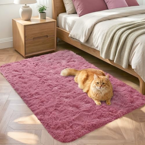 2x3 Blush Fluffy Soft Area Rug Non-Slip for Kids Bedroom Nursery Playroom by ModernHomeDecor