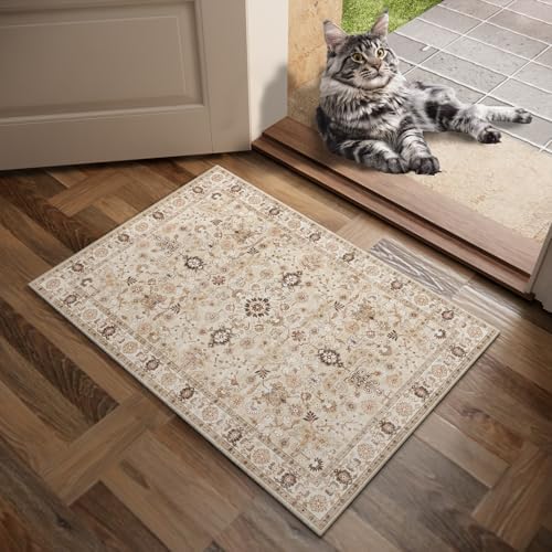 Washable Small Area Rugs for Entryway: 2x3 Door Mat Indoor Entrance - Image 2