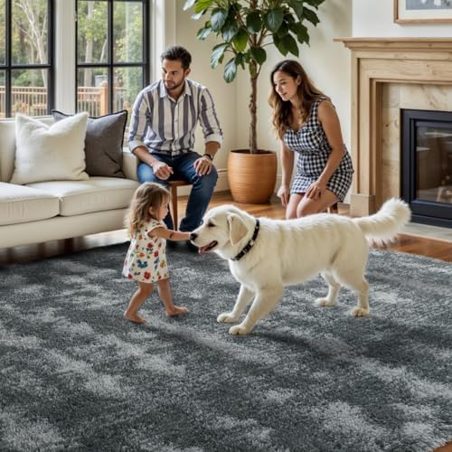 FinRèc Home 4x6 Non-Slip Fluffy Area Rugs for Living Room (Waved Black) - Image 7