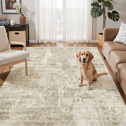 Soalmost Abstract 3x5 Rugs, Small Kitchen Entryway Area Rug Beige/Gray - Image 2