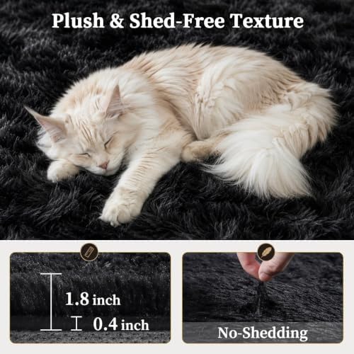 TENGTENGLINK 6x9 Fluffy Shag Area Rug Living Room Bedroom Washable Black - Image 5