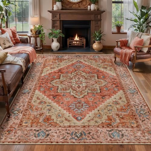 Tangsoo 5x7 Washable Area Rugs for Living Room, Vintage Indoor Non Slip Rug by Tangsoo