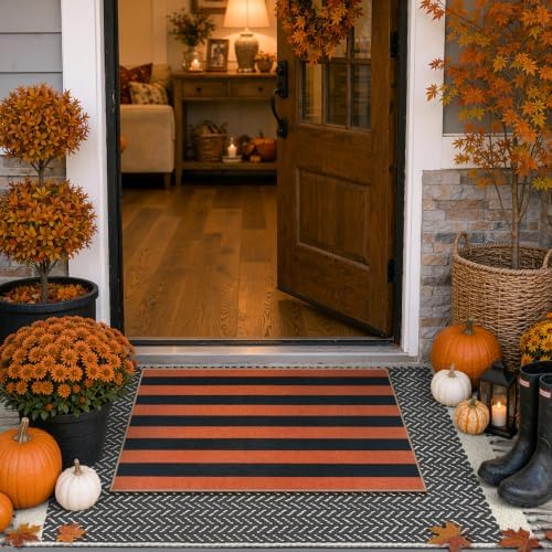 Lahome Striped Fall Door Mat, 2x3 Washable Outdoor Rug, Orange Black - Image 5
