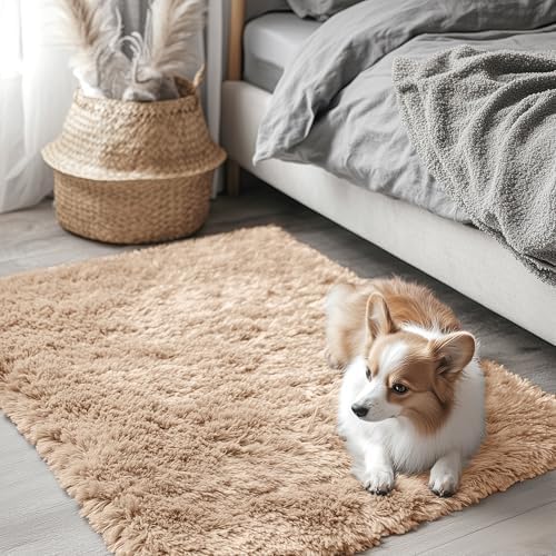 OLANLY 2x3 Machine Washable Small Bedside Rug, Soft Fluffy Shaggy Entryway Throw Rugs for Bedroom, Living Room, Indoor Floor Carpet for Kids Girls and Boys, Nursery Rooms, Home Decor Aesthetic, Beige by OLANLY