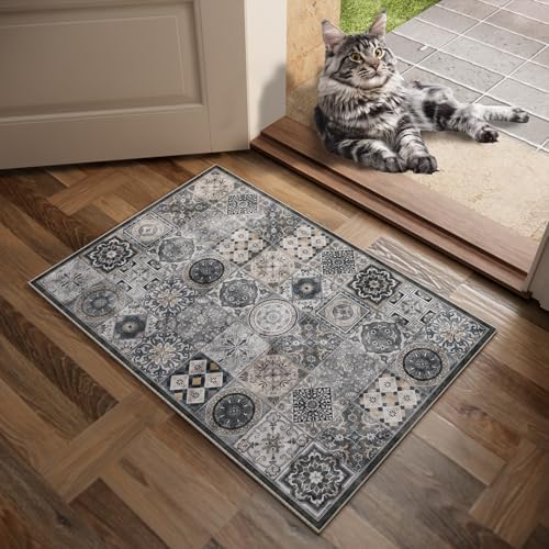 Washable Small Area Rugs for Entryway: 2x3 Door Mat Indoor Entrance - Image 2