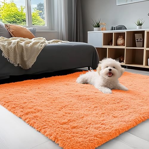 OLANLY 3x5 Machine Washable Small Bedside Rug, Soft Fluffy Shaggy Rugs for Living Room, Bedroom, Indoor Floor Carpet for Kids Girls and Boys, Preppy Dorms, Nursery, Home Decor Aesthetic, Orange by OLANLY