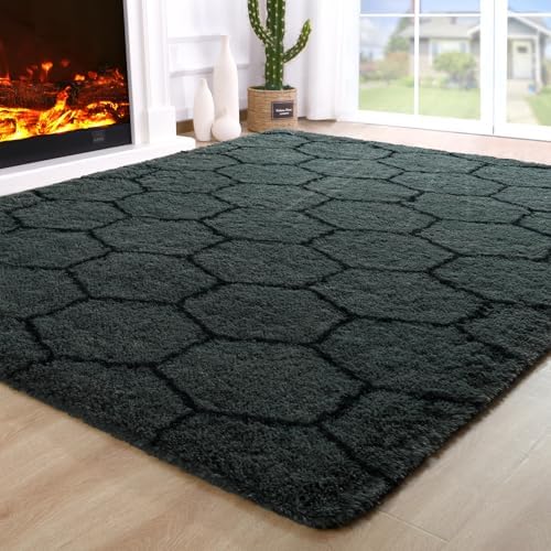 Noahas 4x6 Dark Grey Fluffy Soft Area Rug Non-Slip for Bedroom Living Room by ModernHomeDecor