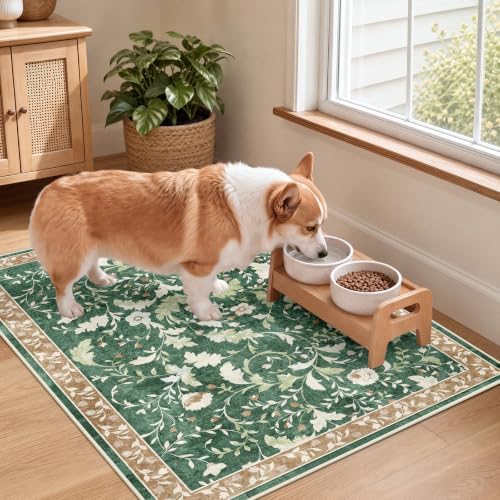 SameBed Washable 2x3 Entryway Area Rug, Vintage Kitchen Rug Brown Green - Image 3
