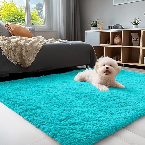 OLANLY 3x5 Machine Washable Small Bedside Rug, Soft Fluffy Shaggy Rugs for Living Room, Bedroom, Indoor Floor Carpet for Kids Girls and Boys, Preppy Dorms, Nursery, Home Decor Aesthetic, Teal Blue by OLANLY