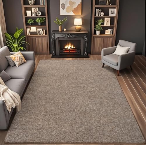AROGAN 4x6 Area Rugs for Living Room Non Slip Dorm Bedroom Rug, Matte Brown - Image 2