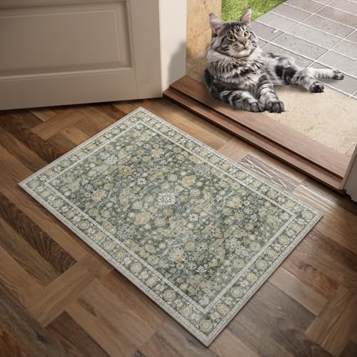 Washable Small Area Rugs for Entryway: 2x3 Door Mat Indoor Entrance - Image 2