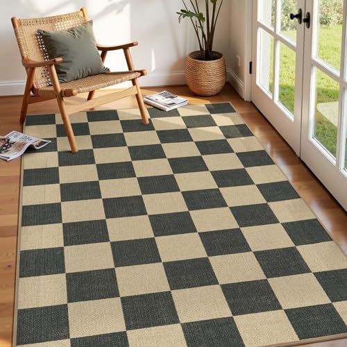 Lessymo Checkered Entryway Rug, 3x5 Washable Area Rugs for Living Room by Lessymo