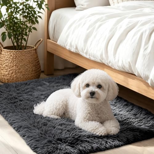 Smiry Area Rugs for Living Room Bedroom 2x3 ft, Fluffy Washable Carpet by Smiry