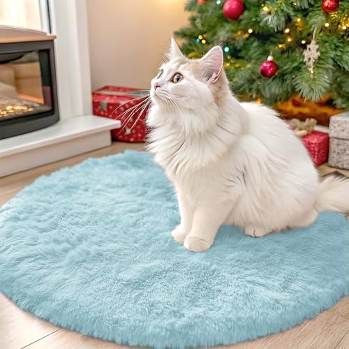 OLANLY Light Blue Round Rugs for Bedroom - Machine Washable, 2 ft Circle Area Rugs for Living Room, Soft and Fluffy Shaggy Carpet for Teen Girl and Boys, Nursery Rooms, Dorms, Home Decor Aesthetic by OLANLY