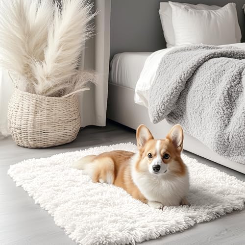 OLANLY 2x3 Machine Washable Small Bedside Rug, Soft Fluffy Shaggy Entryway Throw Rugs for Bedroom, Living Room, Indoor Floor Carpet for Kids Girls and Boys, Nursery Rooms, Home Decor Aesthetic, Ivory by OLANLY