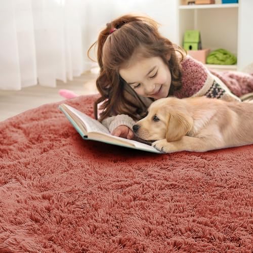 OLANLY Rust Red Round Rugs for Bedroom - Machine Washable, 5 ft Circle Area Rugs for Living Room, Soft and Fluffy Shaggy Carpet for Teen Girl and Boys, Nursery Rooms, Dorms, Home Decor Aesthetic - Image 7