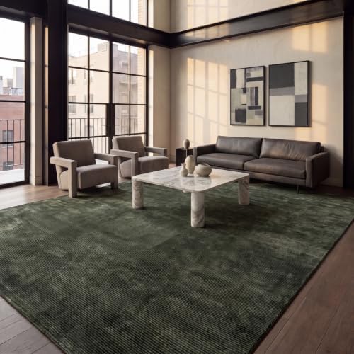 SAFAVIEH Revive Area Rug 9'x12', Modern Green REV102Y by Unknown