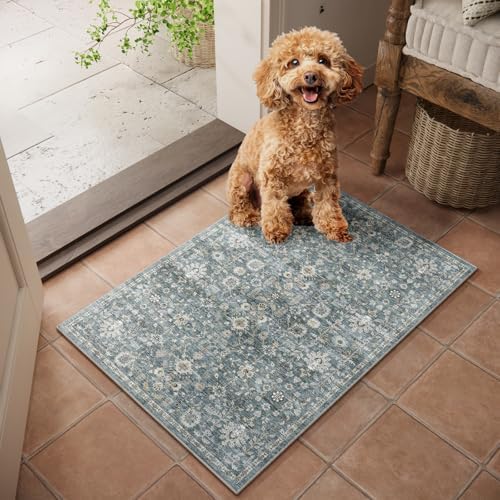 Washable Small Area Rugs for Entryway: 2x3 Door Mat Indoor Entrance by NoiFamo