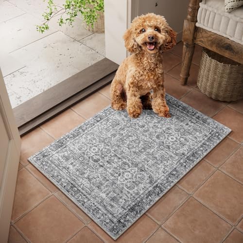 Washable Small Area Rugs for Entryway: 2x3 Door Mat Indoor Entrance by NoiFamo