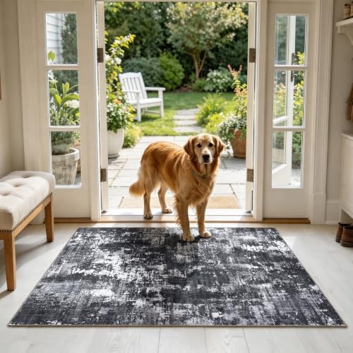 Sasttie 3x5 Entryway Area Rug, Modern Abstract Small Carpet, Black & White by SASTTIE