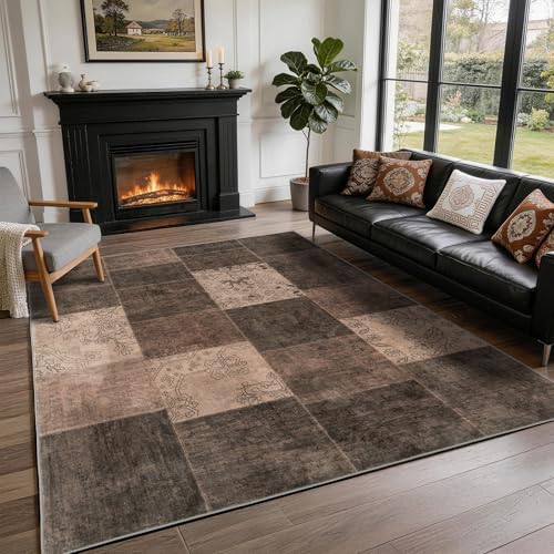 LIANLAM Silver Infused Washable Area Rug for Living Room(5x7,Brown) by LIANLAM