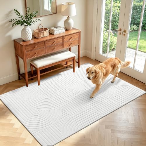 Pauwer 4x6 Area Rugs for Living Room, Modern Non Slip Washable Rug, White by Pauwer