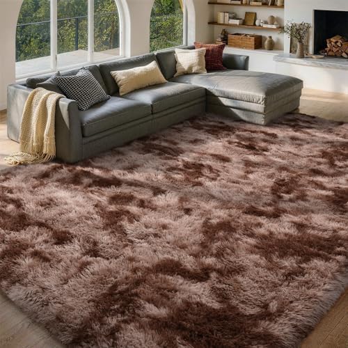 FinRèc Home 6x9 Non-Slip Fluffy Area Rugs for Living Room (Brown) by FinRe%CC%80cHome