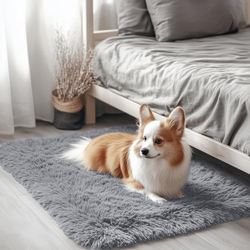 OLANLY 2x3 Machine Washable Small Bedside Rug, Soft Fluffy Shaggy Entryway Throw Rugs for Bedroom, Living Room, Indoor Floor Carpet for Kids Girls Boy, Nursery Rooms, Home Decor Aesthetic, Light Grey by OLANLY