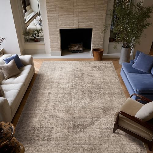 Machine Washable Rugs for Living Room: 6x9 Area Rugs for Bedroom by NoiFamo