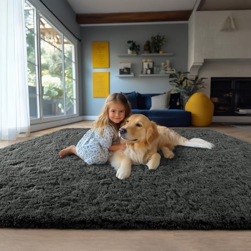 Chicrug Soft Area Rugs for Bedroom Living Room Plush Fluffy Rug 7x10 Feet, Shag Furry Area Rug Carpet Non Shedding for Nursery Children Kids Girls Room Home Decorative, Dark Grey - Image 5