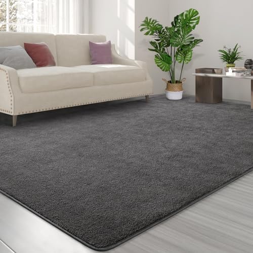 FlyDOIT Area Rugs for Bedroom Living Room, 5x8 Dark Grey Super Soft Comfy Thickened Memory-Foam Indoor Carpets, Modern Aesthetic Minimalist Carpet for Boys Girls Adults Apartment Nursery Home Décor - Image 3