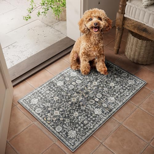 Washable Small Area Rugs for Entryway: 2x3 Door Mat Indoor Entrance by NoiFamo