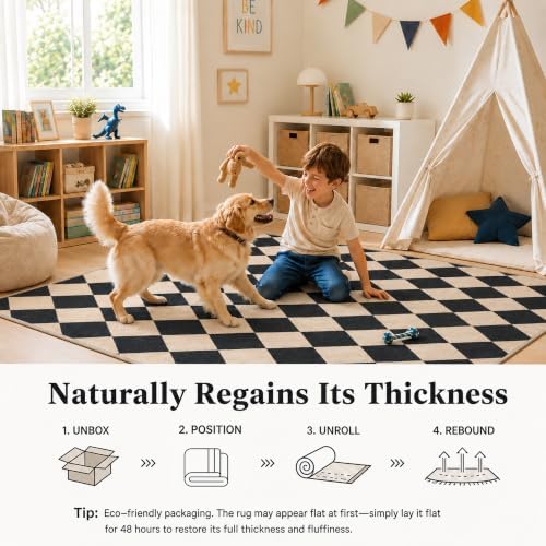 2x3 Checkered Area Rug for Living Room, Soft Low Pile Black & Taupe rugs - Image 6