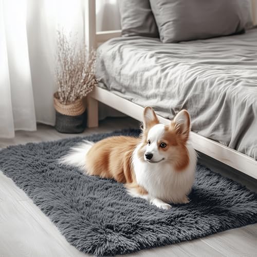OLANLY 2x3 Machine Washable Small Bedside Rug, Soft Fluffy Shaggy Entryway Throw Rugs for Bedroom, Living Room, Indoor Floor Carpet for Kids Girls and Boys, Nursery Rooms, Home Decor Aesthetic, Grey by OLANLY
