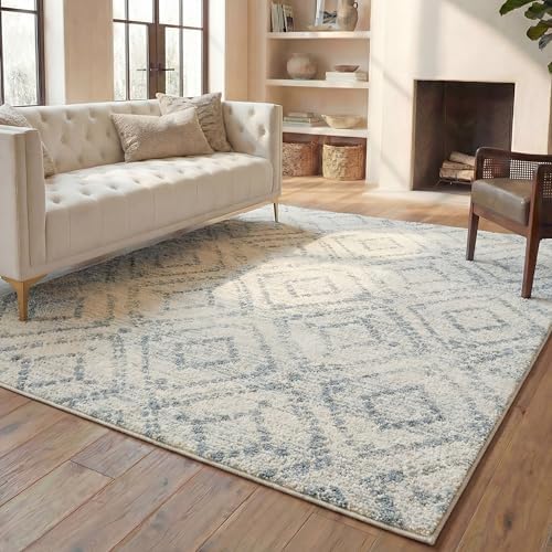 SAFAVIEH Adirondack Area Rug 8'x10', Boho Ivory & Light Blue ADR131T by Unknown