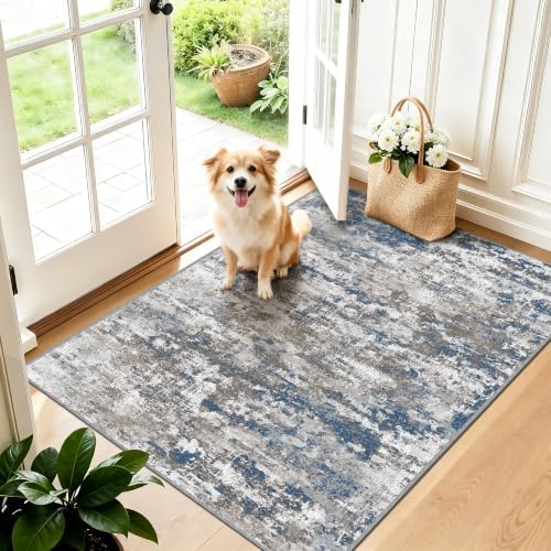 Small Area Rug 3x5 ft, Textured Non Slip Entryway Rug, Multi by TTelephant