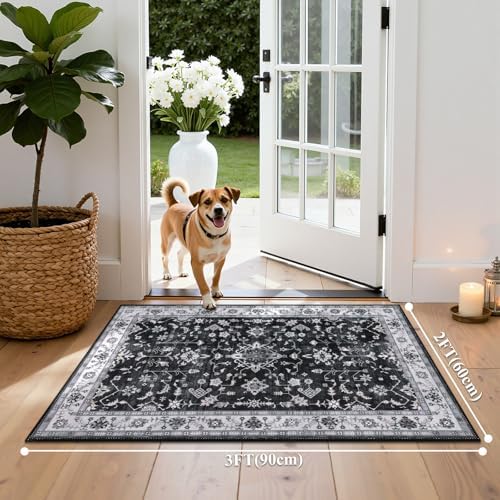 HEBE Indoor Door Mat 2'x3', Washable Welcome Mat for Front Door Entrance - Image 2