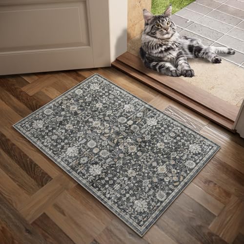 Washable Small Area Rugs for Entryway: 2x3 Door Mat Indoor Entrance - Image 2