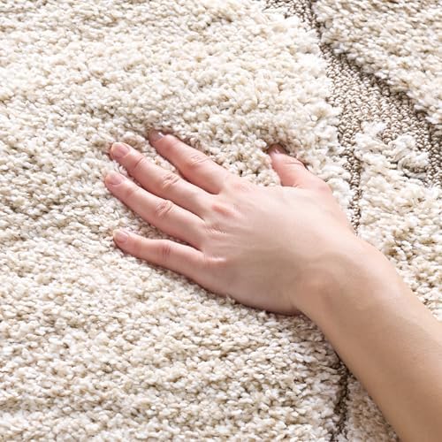SAFAVIEH Florida Shag Rug 4'x6', Soft Plush Modern Cream & Beige SG471-1113 by Unknown