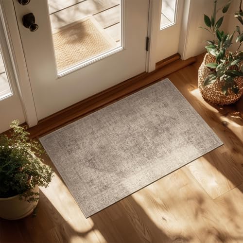 Washable Small Area Rugs for Entryway: 2x3 Door Mat Indoor Entrance by NoiFamo