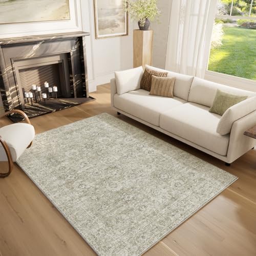 Machine Washable Rugs for Living Room: 5x7 Area Rugs for Bedroom by NoiFamo