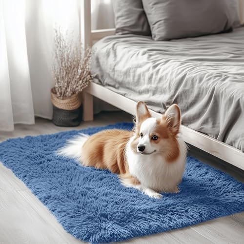 OLANLY 2x3 Machine Washable Small Bedside Rug, Soft Fluffy Shaggy Entryway Throw Rugs for Bedroom, Living Room, Indoor Floor Carpet for Kids Girls and Boys, Home Decor Aesthetic, Blue by OLANLY