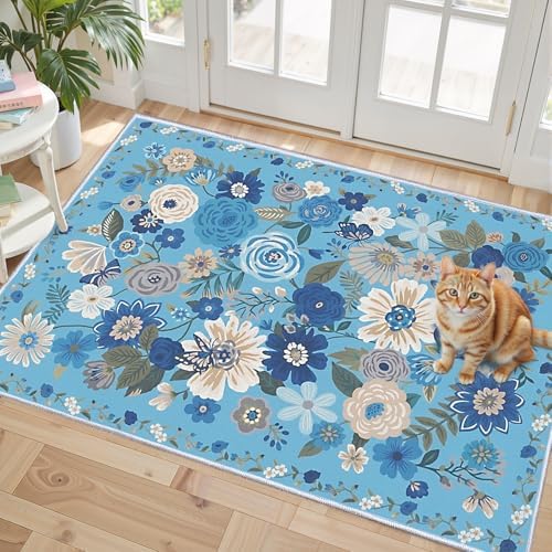 Washable 2x3 Entry Rug, Small Rugs for Kitchen Bathroom Door Mat by WelcometoBabovid