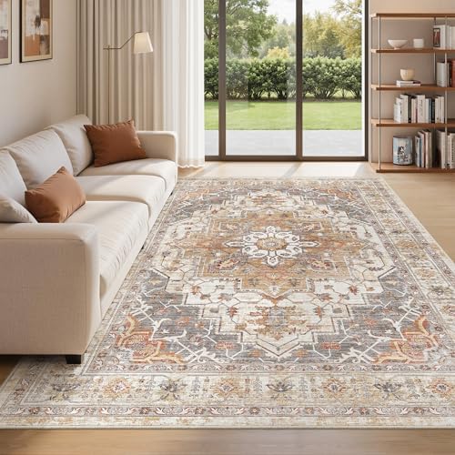 befbee Washable 5x7 Area Rug Non Slip Stain Resistant Rug for Living Room by Befbee