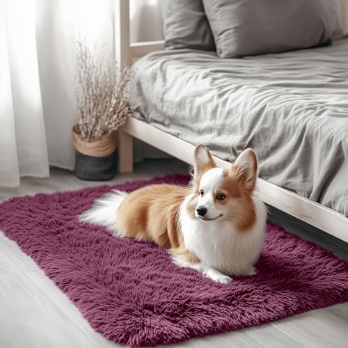 OLANLY 2x3 Machine Washable Small Bedside Rug, Soft Fluffy Shaggy Entryway Throw Rugs for Bedroom, Living Room, Indoor Floor Carpet for Kids Girls Boys, Nursery Rooms, Home Decor Aesthetic, Burgundy by OLANLY