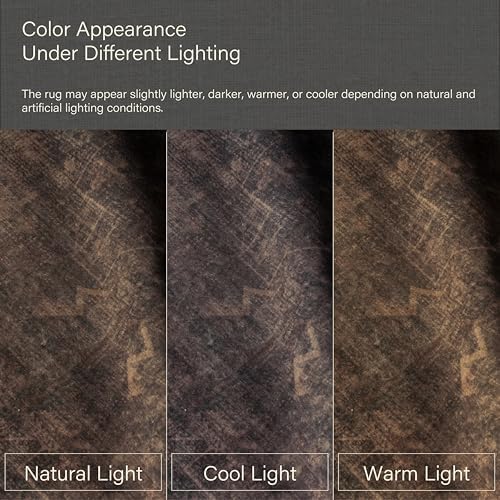 Boho 5x7 Dark Taupe Brown Rugs for Living Room, Vintage Neutral Washable Distressed Geometric Area Rug for Dining Room Bedroom, Stain Resistant Low Pile Anti-Slip Backing Ultra Soft - Image 6