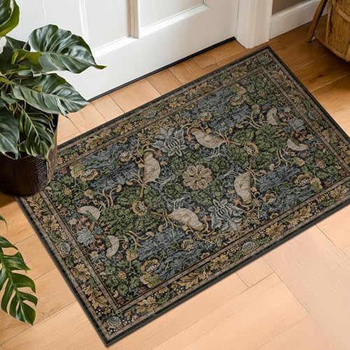 Hazo Haus Washable Dark Vintage Floral Rugs for Entryway - Small 2x3 Washable Rug for Kitchen Bathroom Door Mat Indoor Entrance with Bird & Botanical Pattern, Brown Earthy Tones, Non Slip Low Pile by HazoHaus